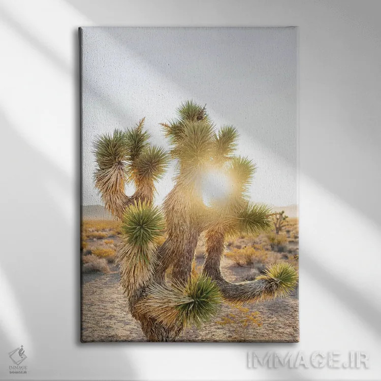 تابلو طلوع بیابان نوادا دوم اثر بثانی یانگ - نمای روبهرو روی دیوار