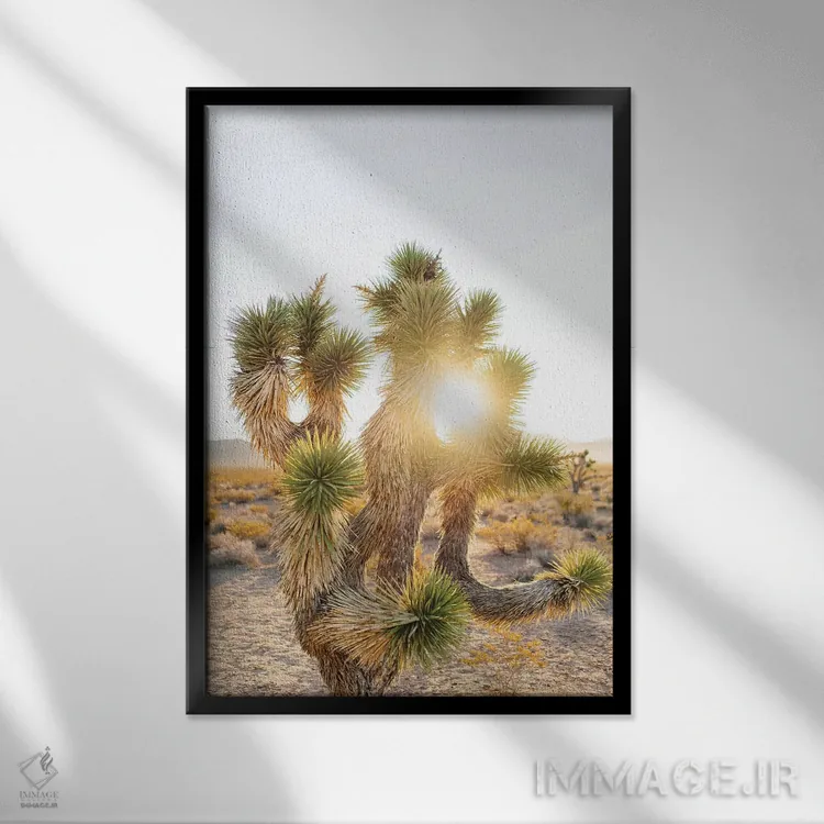 تابلو طلوع بیابان نوادا دوم اثر بثانی یانگ - نمای قابدار مشکی