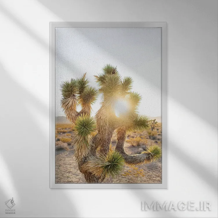 تابلو طلوع بیابان نوادا دوم اثر بثانی یانگ - نمای قابدار سفید