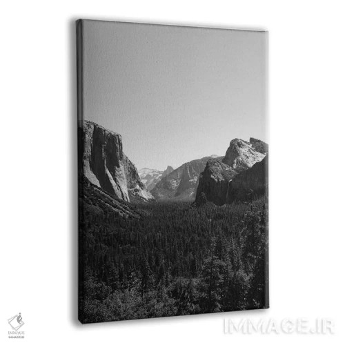 تابلو Yosemite National Park III,دورنمای تونلی - پارک ملی یوسیمیتی سوم اثر بثانی یانگ - نمای پرسپکتیو محصول