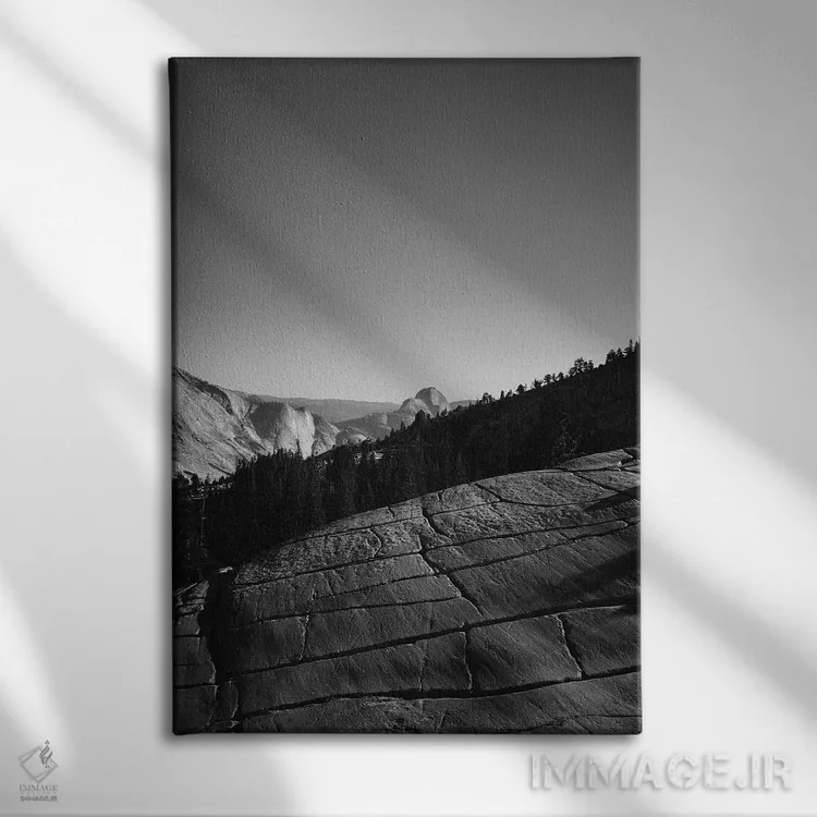تابلو Yosemite National Park IV,نقطه اولمستد - پارک ملی یوسیمیتی چهارم اثر بثانی یانگ - نمای روبهرو روی دیوار