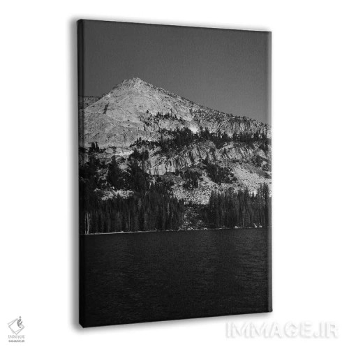تابلو Yosemite National Park,دریاچه تنایا - پارک ملی یوسیمیتی اثر بثانی یانگ - نمای پرسپکتیو محصول