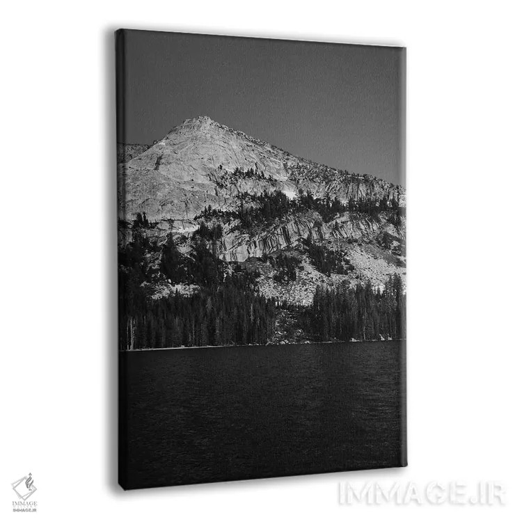 تابلو Yosemite National Park,دریاچه تنایا - پارک ملی یوسیمیتی اثر بثانی یانگ - نمای پرسپکتیو محصول