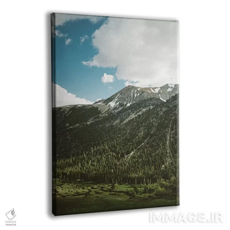 تابلو پارک ملی یوسیمیتی پنجم اثر بثانی یانگ - نمای پرسپکتیو محصول
