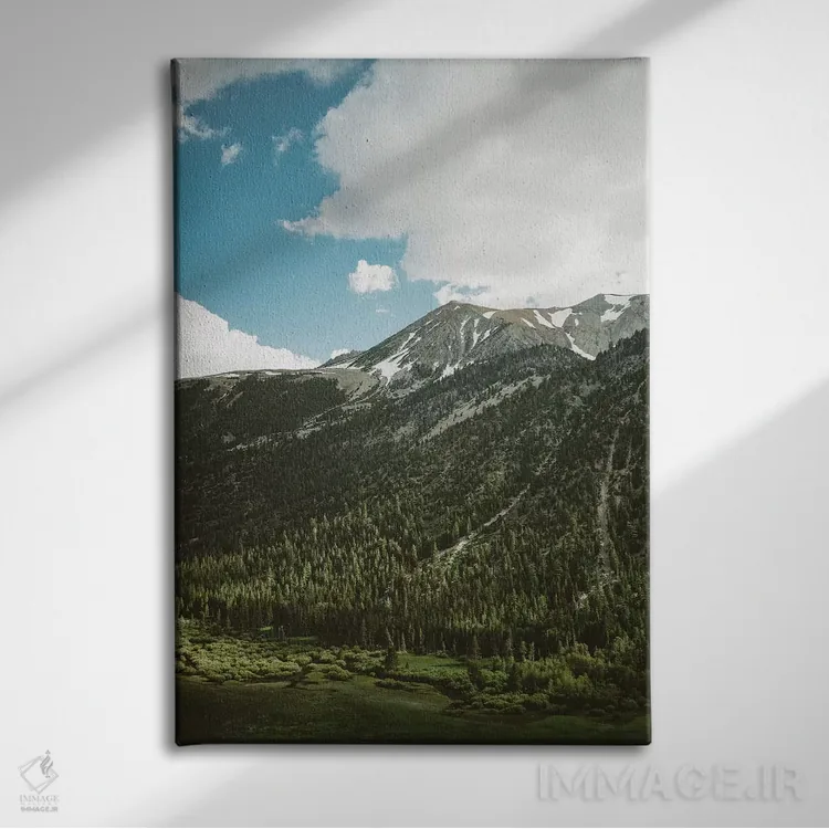 تابلو پارک ملی یوسیمیتی پنجم اثر بثانی یانگ - نمای روبهرو روی دیوار