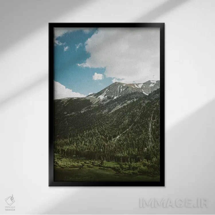 تابلو پارک ملی یوسیمیتی پنجم اثر بثانی یانگ - نمای قابدار مشکی