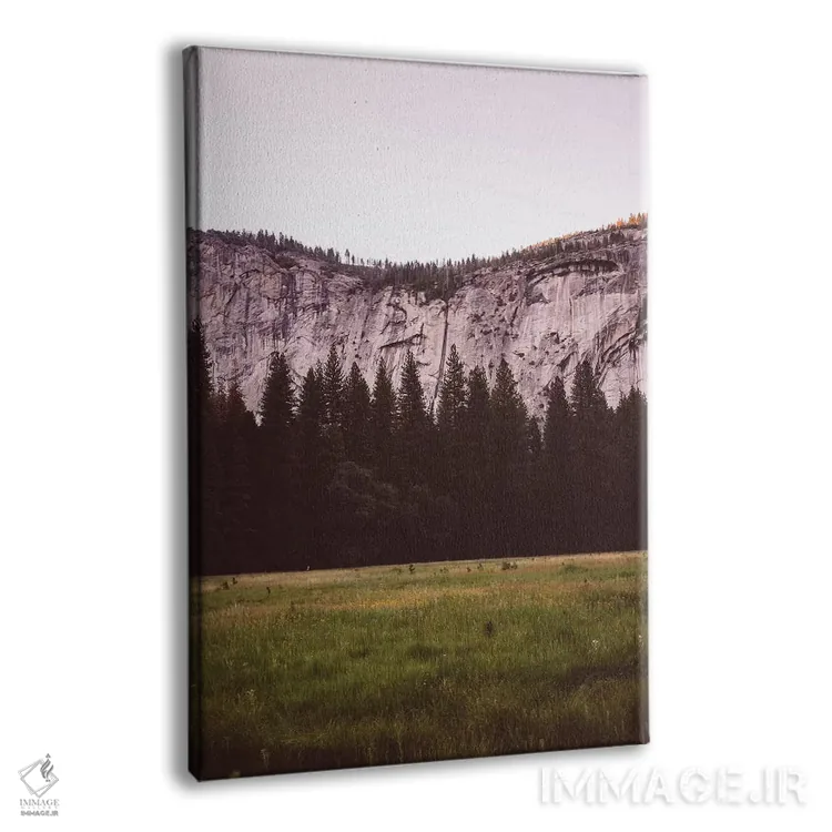 تابلو دره یوسیمیتی پنجم اثر بثانی یانگ - نمای پرسپکتیو محصول