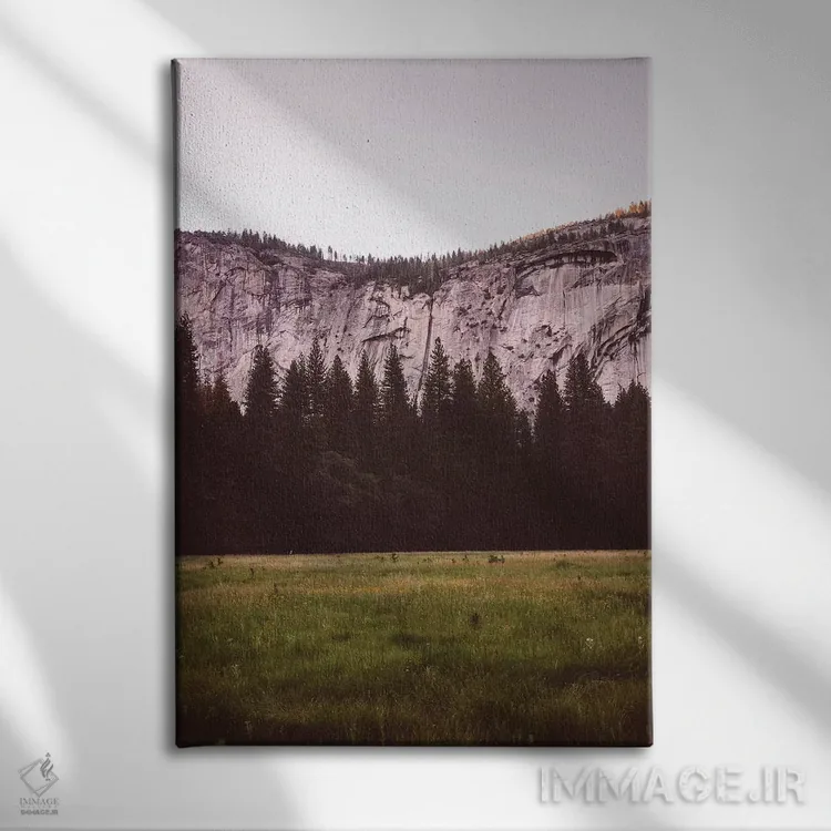 تابلو دره یوسیمیتی پنجم اثر بثانی یانگ - نمای روبهرو روی دیوار