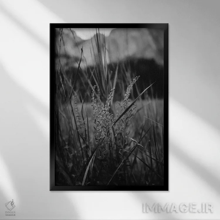 تابلو دره یوسیمیتی سوم اثر بثانی یانگ - نمای قابدار مشکی