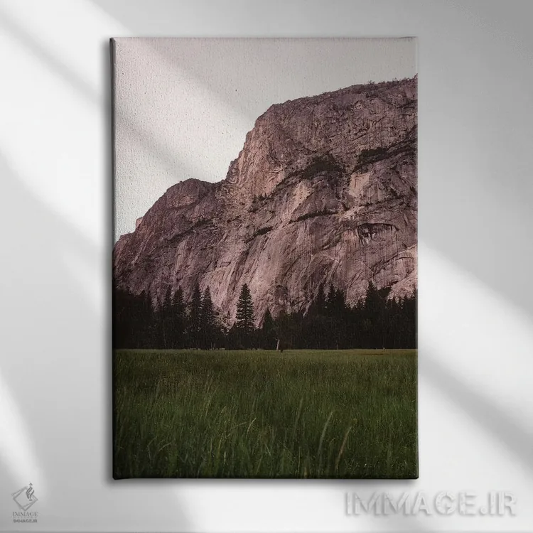 تابلو دره یوسیمیتی اثر بثانی یانگ - نمای روبهرو روی دیوار