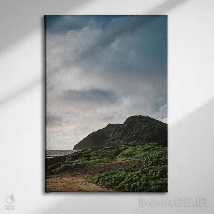 تابلو فانوس دریایی پوینت ماکاپوو اثر بثانی یانگ - نمای روبهرو روی دیوار