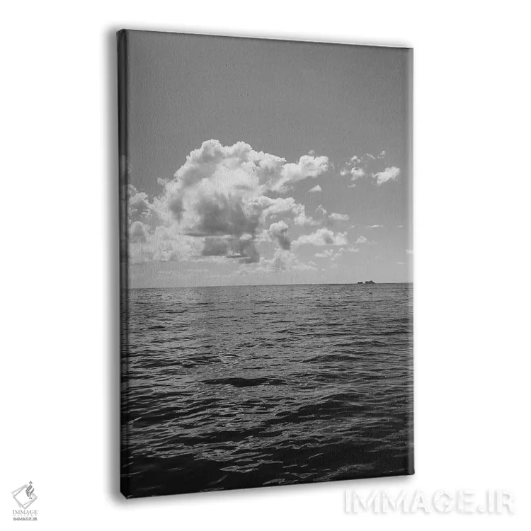 تابلو نمای اقیانوس سیاه و سفید ۲ اثر بثانی یانگ - نمای پرسپکتیو محصول