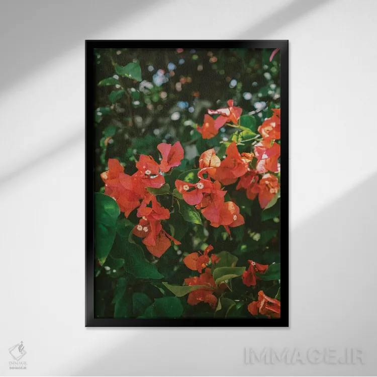 تابلو هاوایی گرمسیری ۴ اثر بثانی یانگ - نمای قابدار مشکی