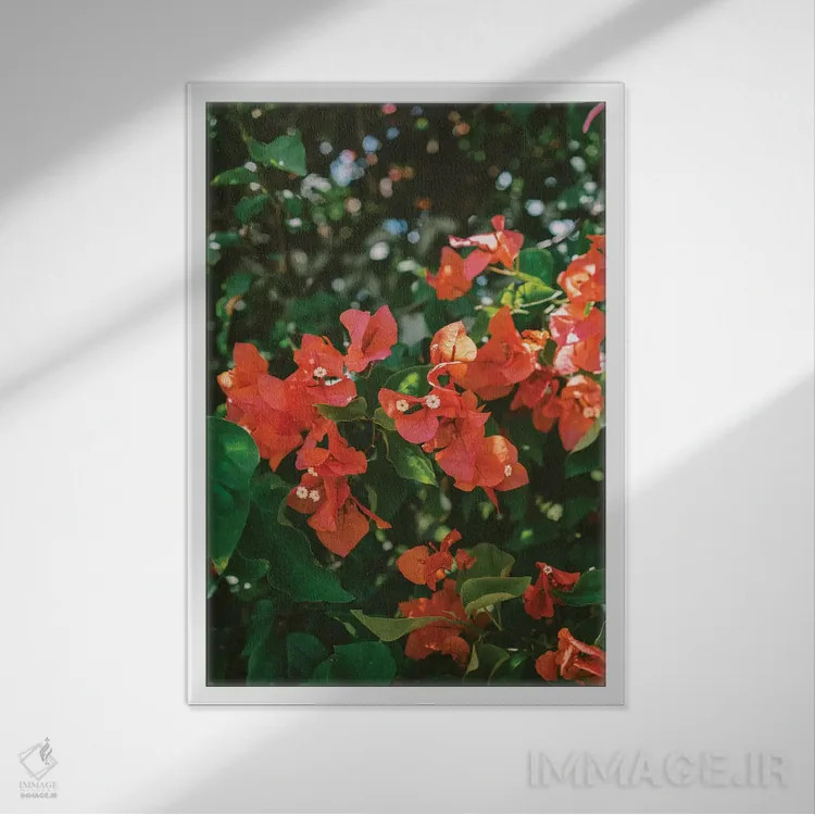 تابلو هاوایی گرمسیری ۴ اثر بثانی یانگ - نمای قابدار سفید