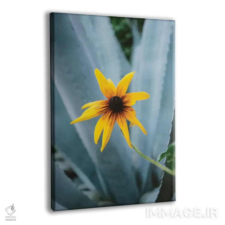 تابلو گل آستین ۲ اثر بثانی یانگ - نمای پرسپکتیو محصول