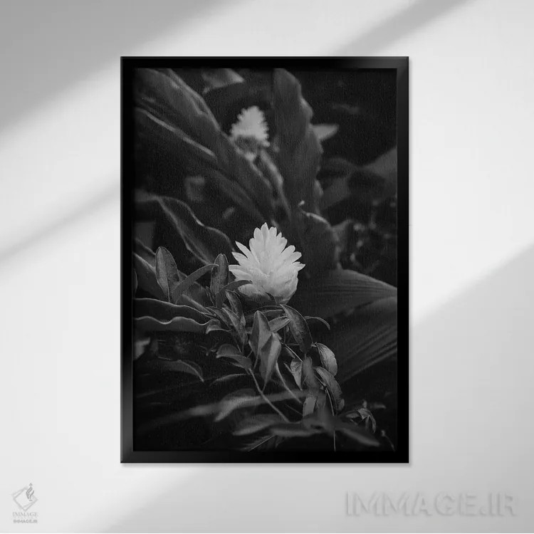 تابلو هاوایی گرمسیری سیاه و سفید اثر بثانی یانگ - نمای قابدار مشکی