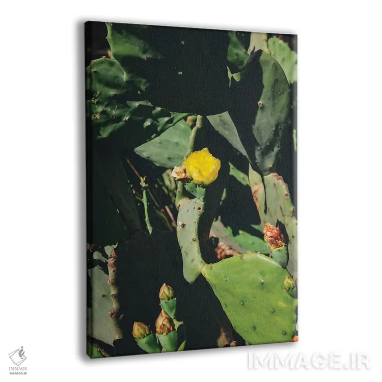 تابلو شکوفه مرکزی اثر بثانی یانگ - نمای پرسپکتیو محصول