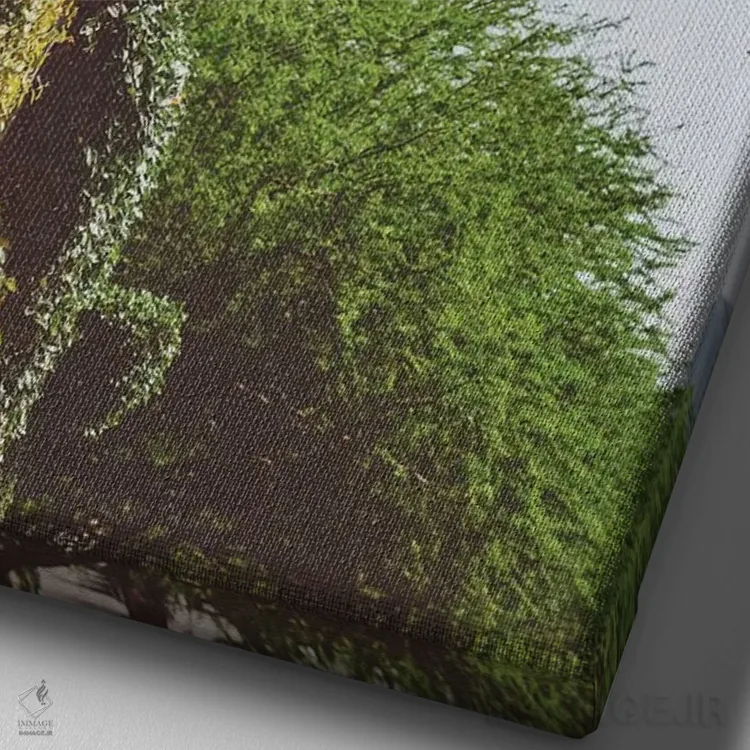 تابلو هتل آستین اثر بثانی یانگ - نمای نزدیک بافت بوم