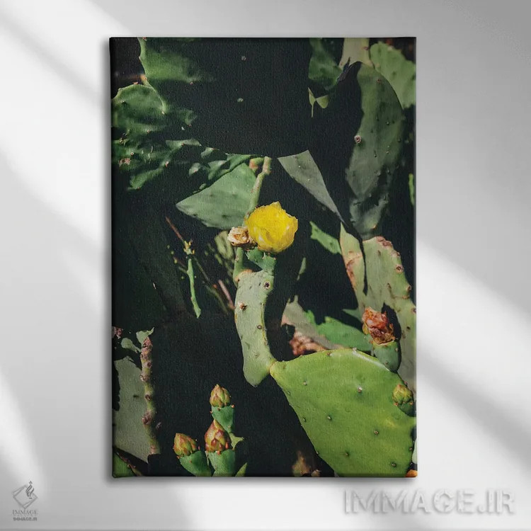 تابلو شکوفه مرکزی اثر بثانی یانگ - نمای روبهرو روی دیوار