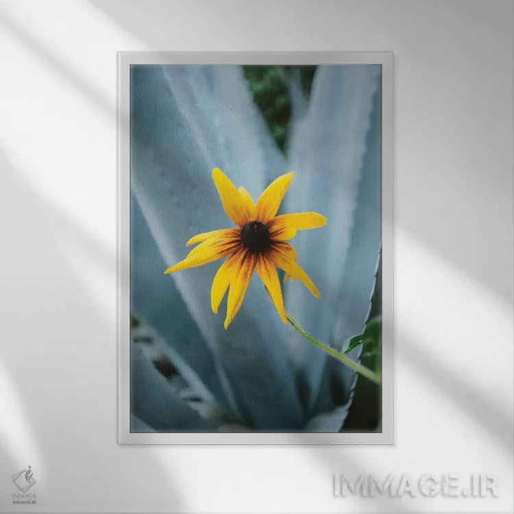 تابلو گل آستین ۲ اثر بثانی یانگ - نمای قابدار سفید