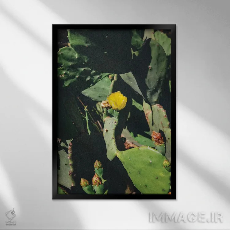 تابلو شکوفه مرکزی اثر بثانی یانگ - نمای قابدار مشکی