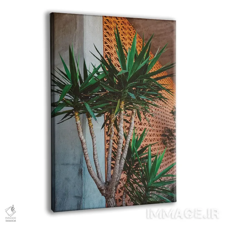 تابلو سلام، خداحافظ اثر بثانی یانگ - نمای پرسپکتیو محصول