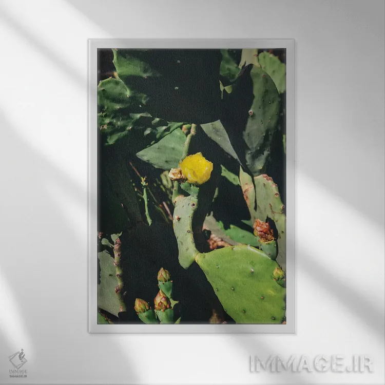 تابلو شکوفه مرکزی اثر بثانی یانگ - نمای قابدار سفید