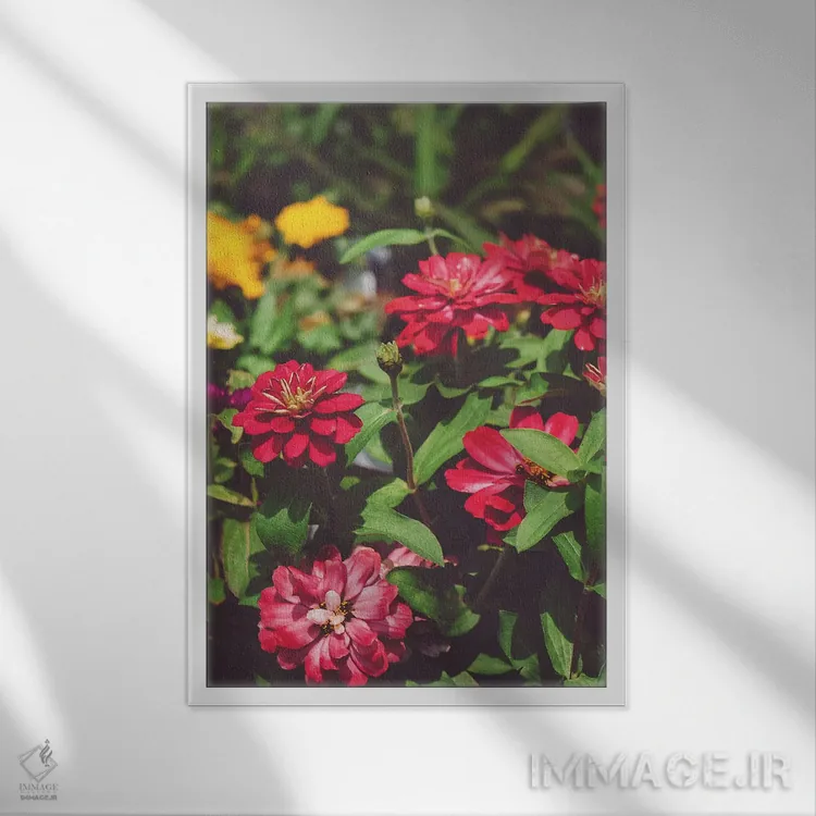 تابلو مال من باش اثر بثانی یانگ - نمای قابدار سفید