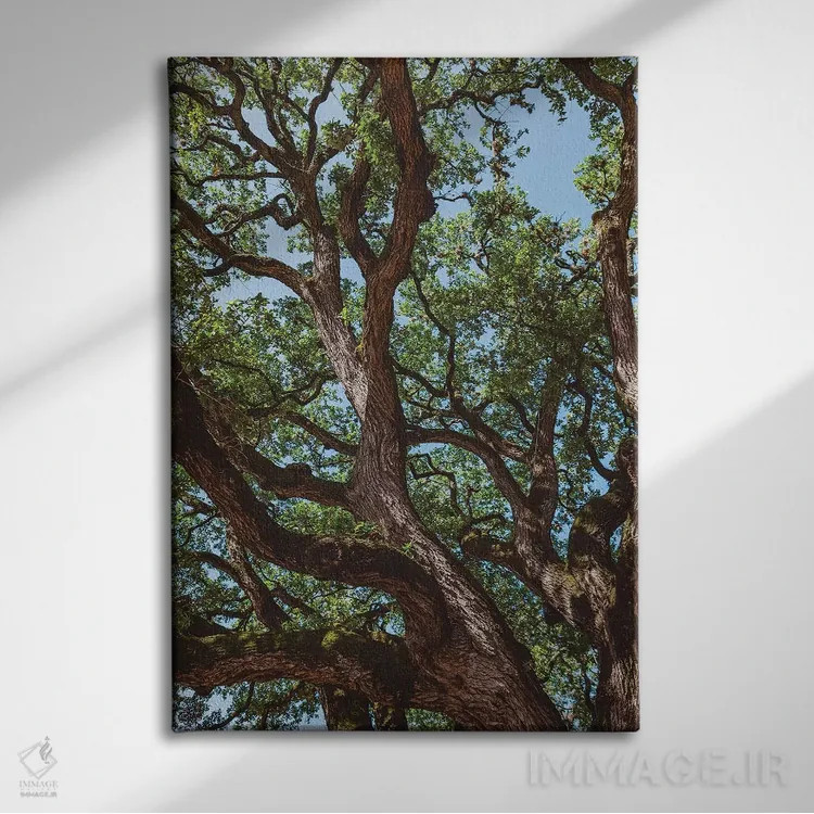 تابلو پنبهزار تگزاس اثر بثانی یانگ - نمای روبهرو روی دیوار