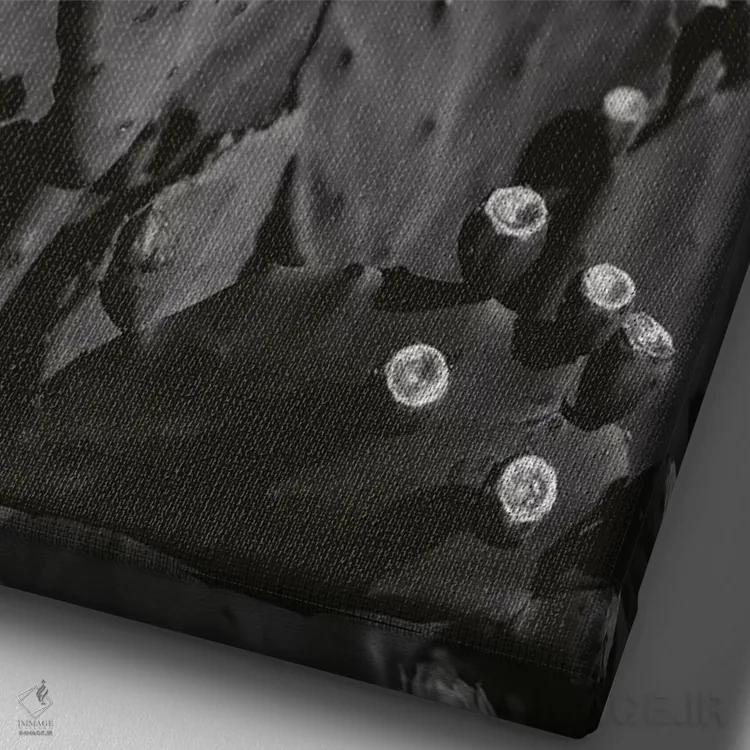 تابلو کاکتوس سیاه و سفید اثر بثانی یانگ - نمای نزدیک بافت بوم