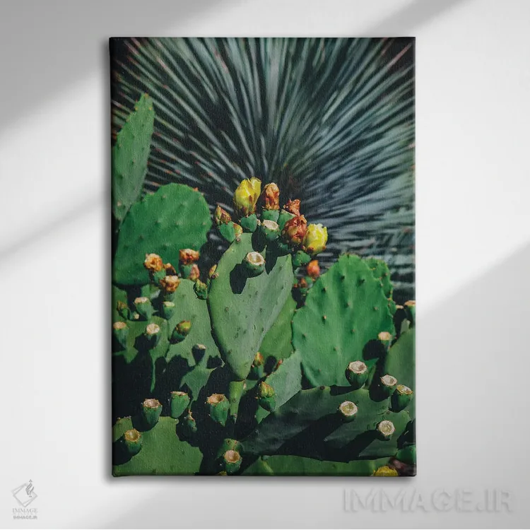 تابلو شکوفههای وحشی اثر بثانی یانگ - نمای روبهرو روی دیوار