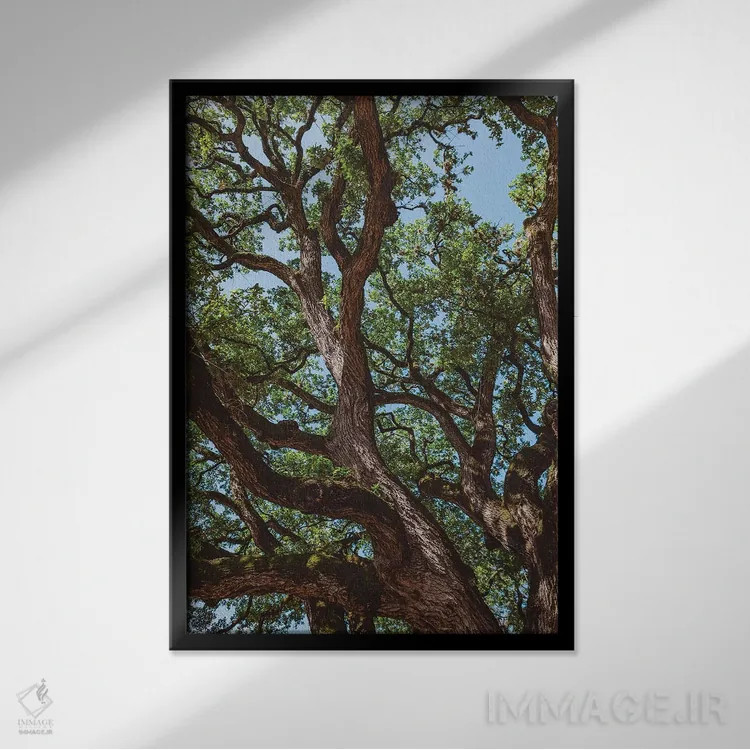 تابلو پنبهزار تگزاس اثر بثانی یانگ - نمای قابدار مشکی