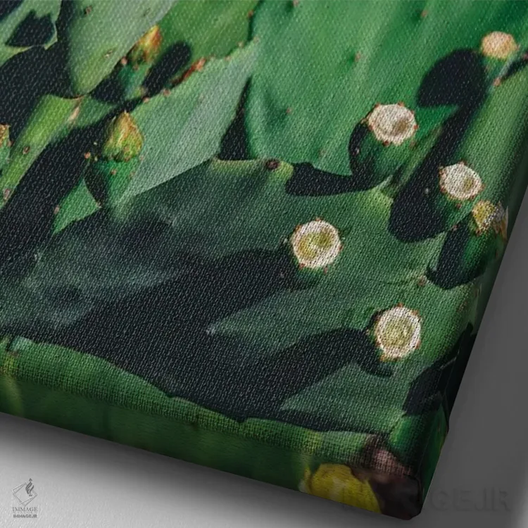 تابلو شکوفههای وحشی اثر بثانی یانگ - نمای نزدیک بافت بوم