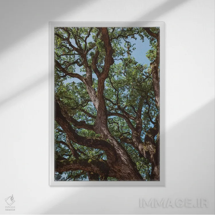 تابلو پنبهزار تگزاس اثر بثانی یانگ - نمای قابدار سفید