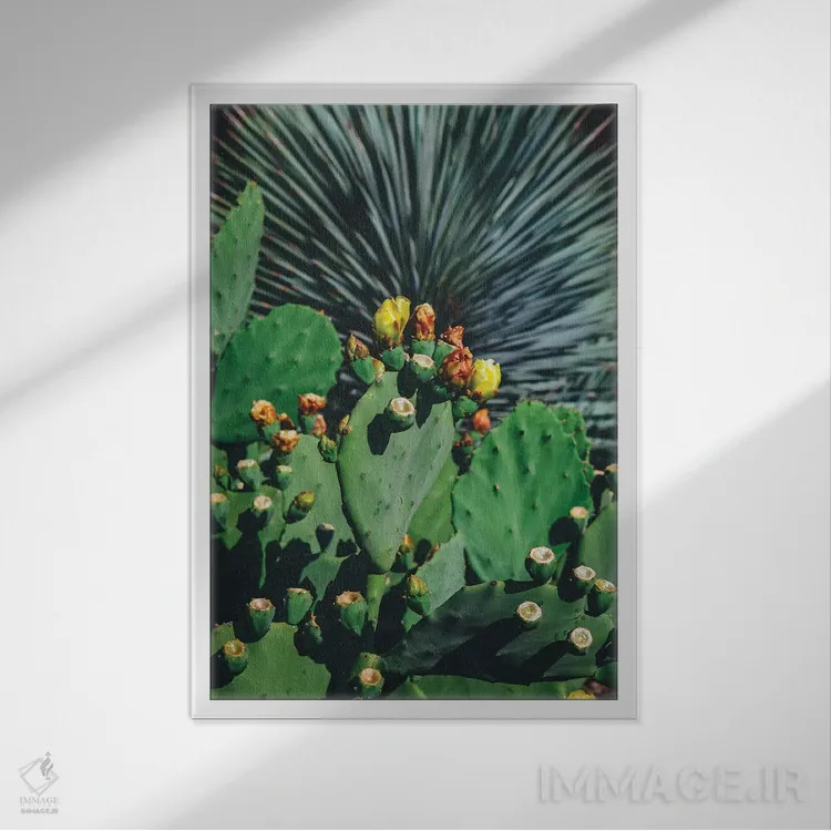 تابلو شکوفههای وحشی اثر بثانی یانگ - نمای قابدار سفید