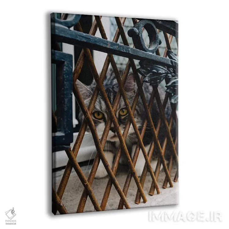 تابلو گربهها (فرانسوی) اثر بثانی یانگ - نمای پرسپکتیو محصول