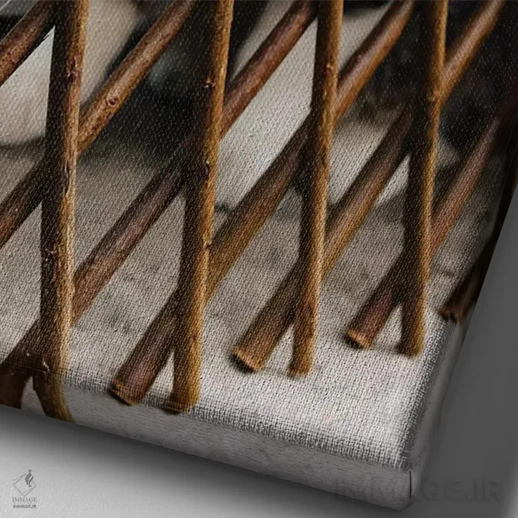 تابلو گربهها (فرانسوی) اثر بثانی یانگ - نمای نزدیک بافت بوم