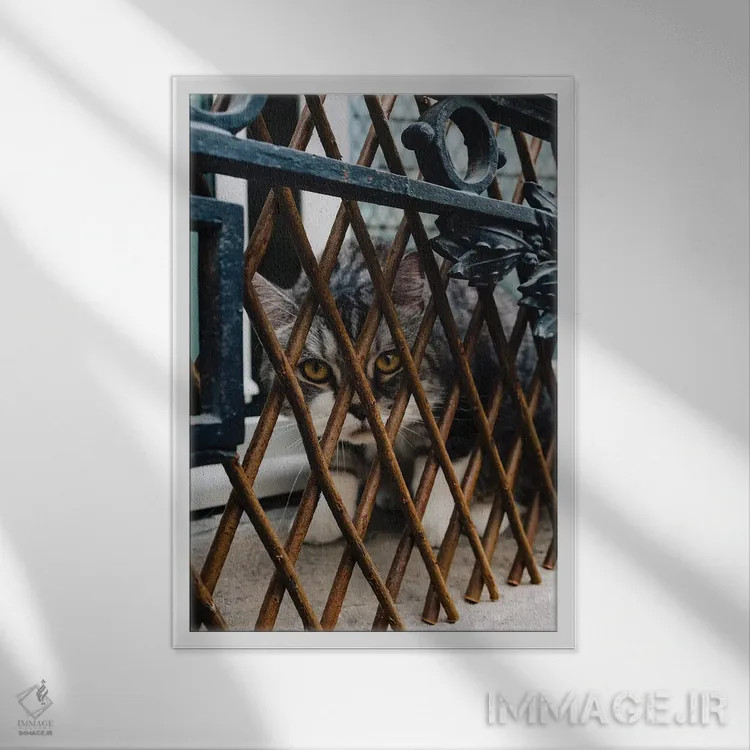 تابلو گربهها (فرانسوی) اثر بثانی یانگ - نمای قابدار سفید