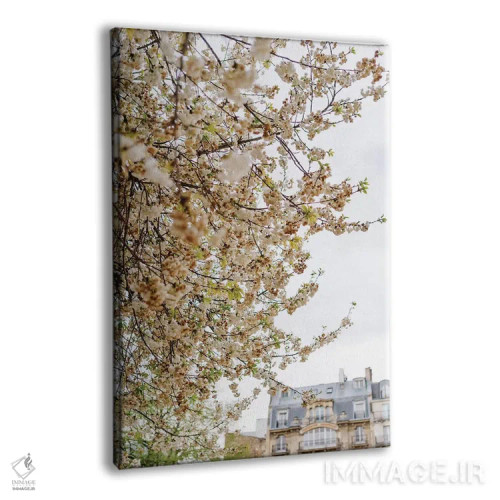 تابلو باغ پاریس اثر بثانی یانگ - نمای پرسپکتیو محصول
