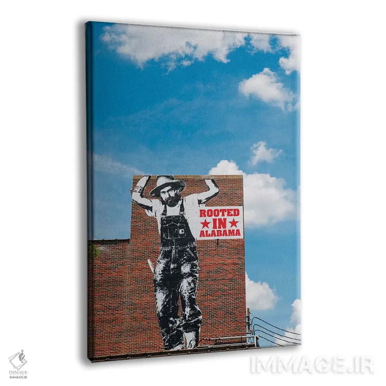 تابلو معماری آلاباما ۷ اثر بثانی یانگ - نمای پرسپکتیو محصول