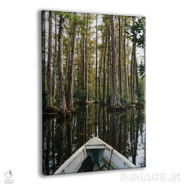 تابلو قایق در باغ سرو چارلستون IV اثر بثانی یانگ - نمای پرسپکتیو محصول