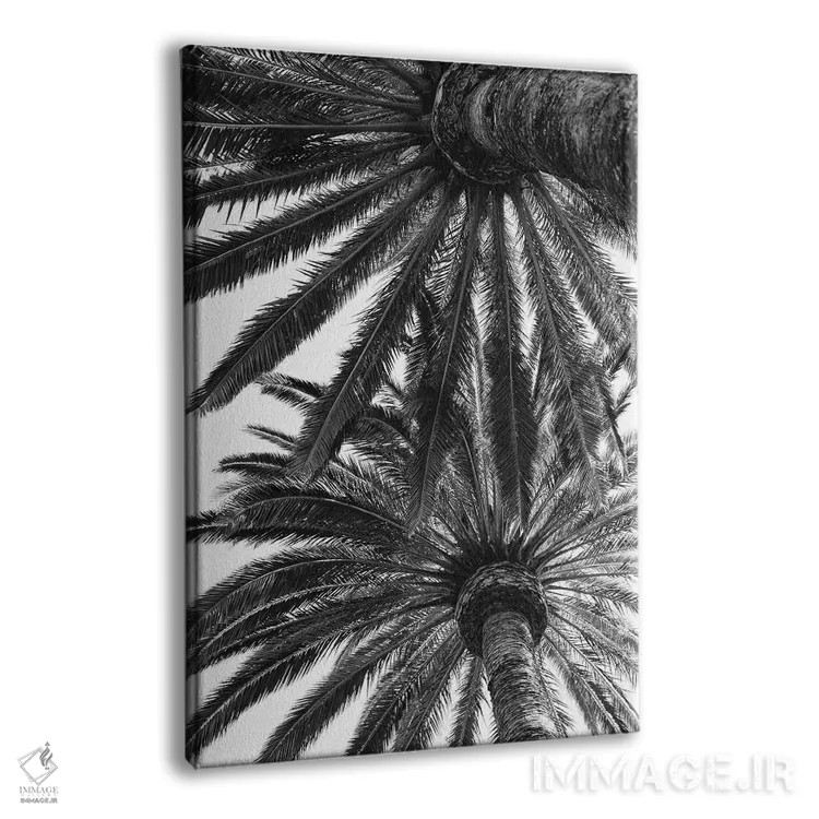 تابلو نخلهای ونیز اثر بثانی یانگ - نمای پرسپکتیو محصول