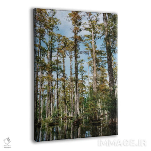 تابلو باغ سرو چارلستون II اثر بثانی یانگ - نمای پرسپکتیو محصول