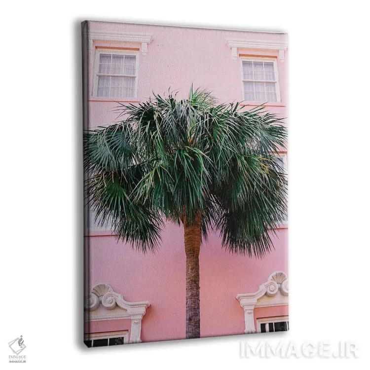 تابلو صورتی چارلستون اثر بثانی یانگ - نمای پرسپکتیو محصول