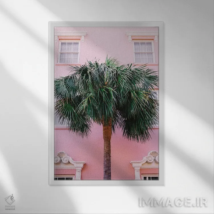 تابلو صورتی چارلستون اثر بثانی یانگ - نمای قابدار سفید