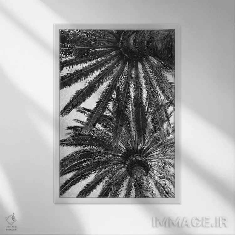 تابلو نخلهای ونیز اثر بثانی یانگ - نمای قابدار سفید