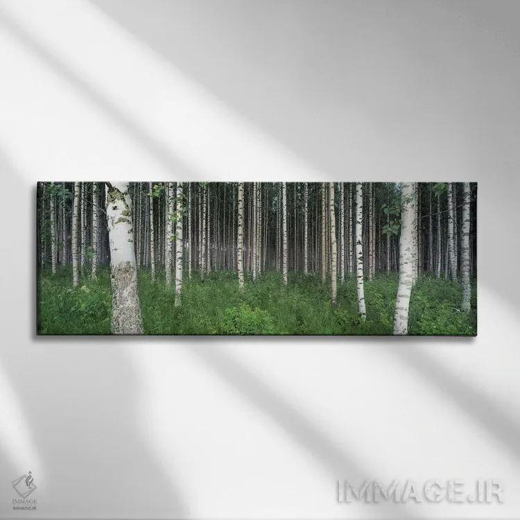 تابلو Punkaharju, Finland,جنگل توس، پونکاهارجو، فنلاند اثر پانورامیک ایمجز (استودیو عکاسی عریض) - نمای روبهرو روی دیوار