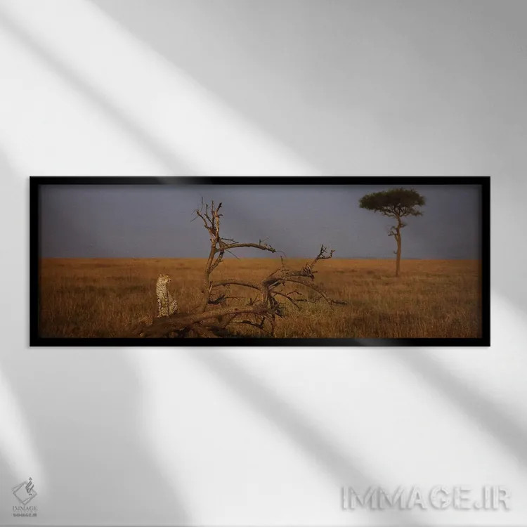 تابلو Maasai Mara National Reserve, Rift Valley, Kenya,یوزپلنگ آفریقایی تنها، ذخیرهگاه ملی ماسایی مارا، دره ریفت، کنیا اثر پانورامیک ایمجز (استودیو عکاسی عریض) - نمای قابدار مشکی