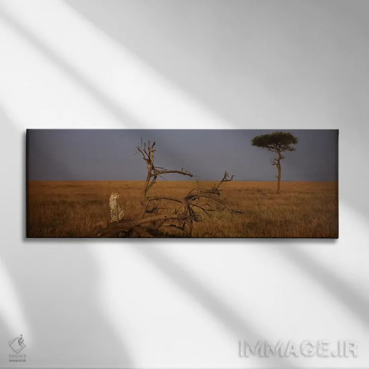 تابلو Maasai Mara National Reserve, Rift Valley, Kenya,یوزپلنگ آفریقایی تنها، ذخیرهگاه ملی ماسایی مارا، دره ریفت، کنیا اثر پانورامیک ایمجز (استودیو عکاسی عریض) - نمای روبهرو روی دیوار