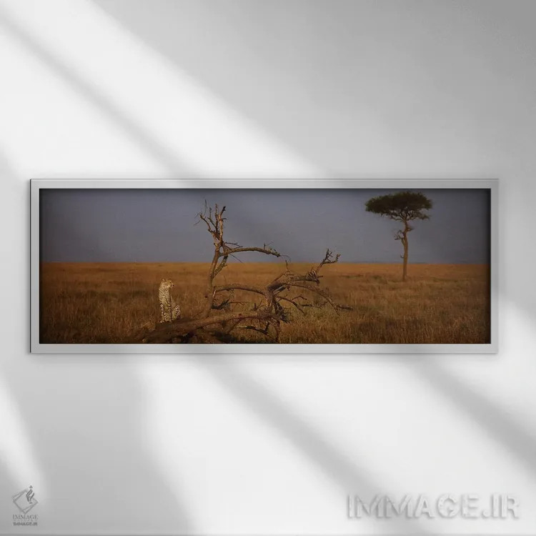 تابلو Maasai Mara National Reserve, Rift Valley, Kenya,یوزپلنگ آفریقایی تنها، ذخیرهگاه ملی ماسایی مارا، دره ریفت، کنیا اثر پانورامیک ایمجز (استودیو عکاسی عریض) - نمای قابدار سفید